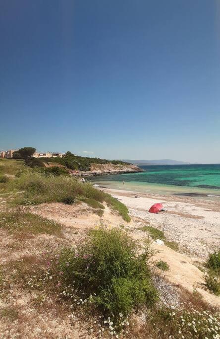 Aleph Guest House, Relax A Due Passi Dal Mare Fertilia Eksteriør bilde